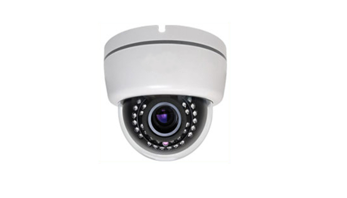 Dome shaped hot sale camera